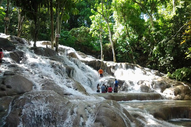 Dunn's River Falls excursion from Montego Bay - Key Things to Know Before You Go