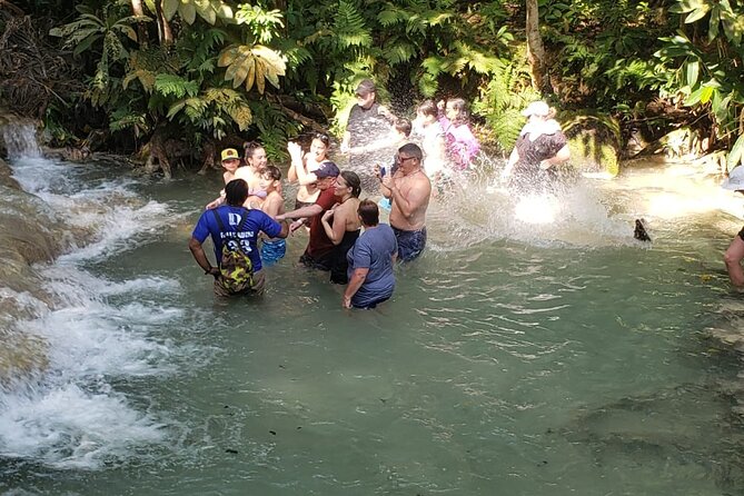 Dunn's River Falls Half Day Tour From Montego Bay - Premier Transfers and Tours: what you’re really buying