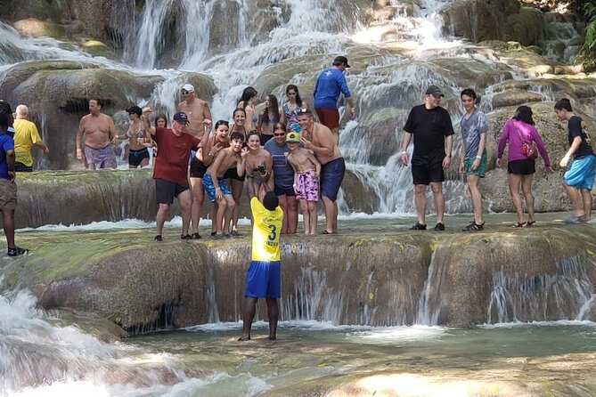 Dunn's River Falls Half Day Tour From Montego Bay - Transport comfort: A/C and a clean ride reduce stress