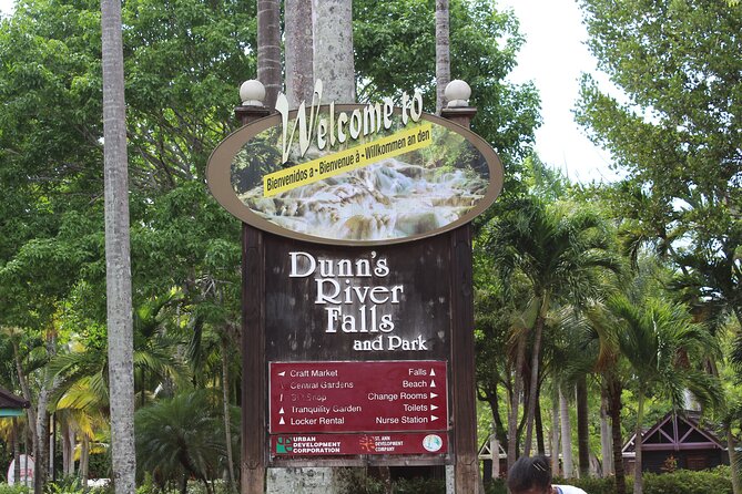 Dunn's River Falls Jamaica/Montego Bay/Falmouth - Who this tour suits best (and who might reconsider)