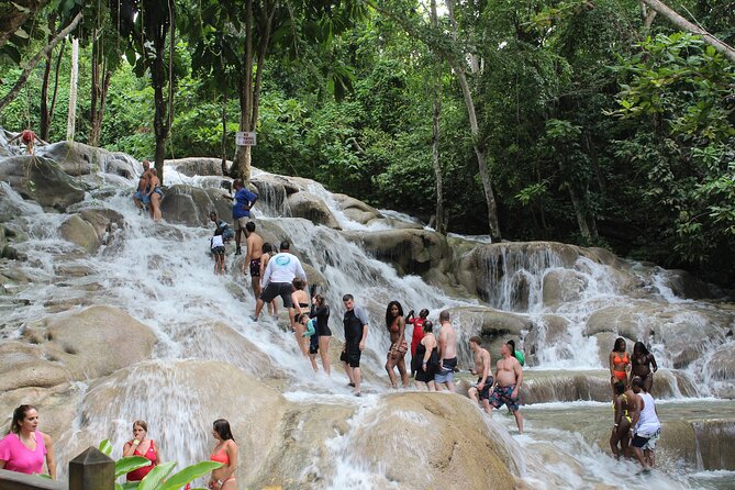Dunn's River Falls Jamaica/Montego Bay/Falmouth - Getting there: the ride, the timing, and the private-group comfort