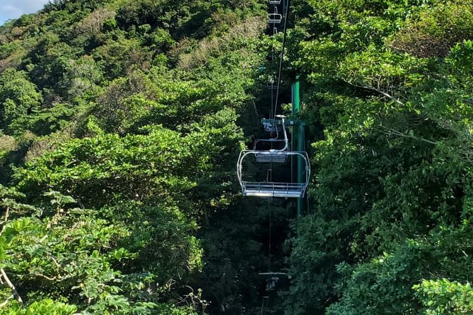 Dunn’s River Falls,Zip lining & horseback riding Combo tour from Montego Bay - The Driver Factor: Why Local Guidance Matters