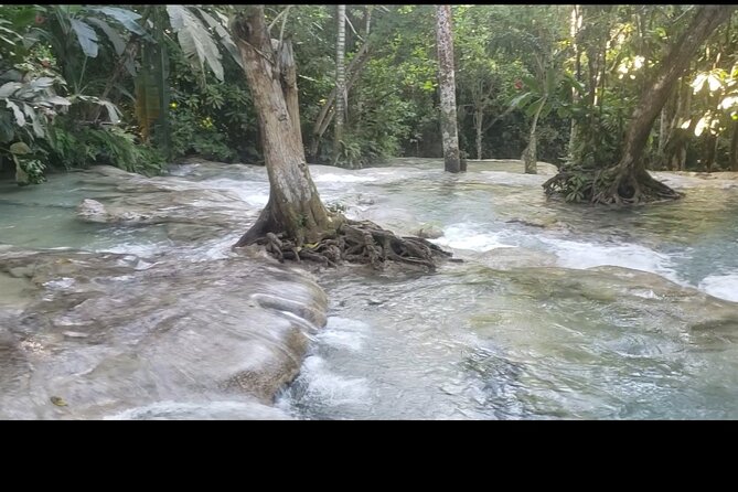 Dunns River Falls Experience from Montego Bay Resorts - Tranquility Gardens and beach time at the Caribbean