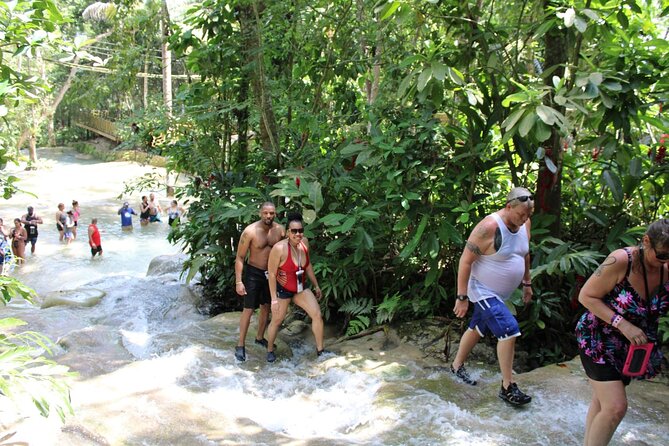 Dunns River Falls Half Day Private Tour Including Entry Fee. - Key things I’d bank on before booking