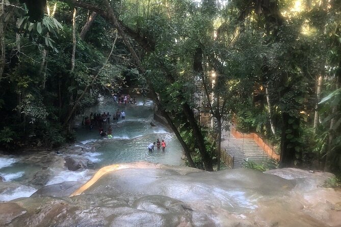 Dunns River Falls Private Day Tour - Private Ride From Montego Bay: What You’re Really Paying For