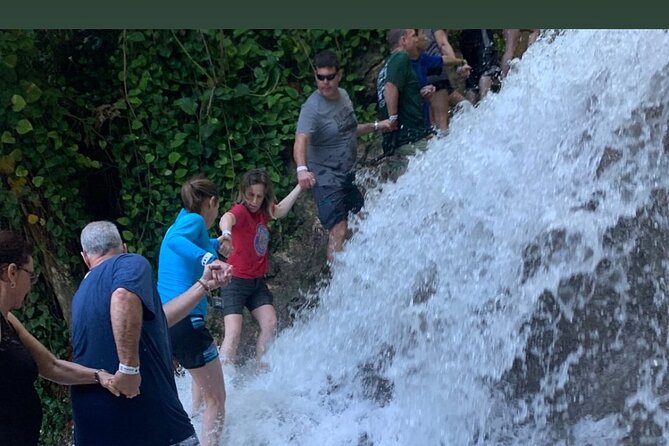 Dunns River Falls Private Day Tour - Price and Value: Is $110 Worth It?