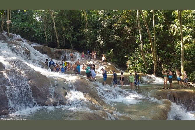 Dunns River Falls Private Day Tour - Timing: Why Half-Day Works Better Than You Think