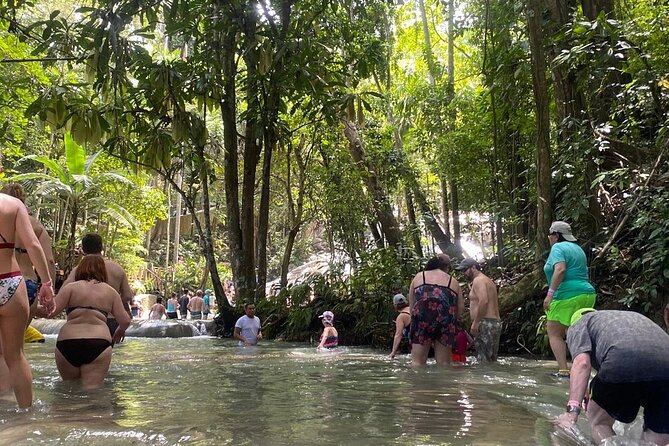 Dunns River Falls Private Day Tour - What the Climb Actually Feels Like (and How to Make It Fun)