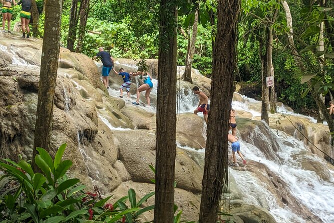 Dunns River Falls, Rafting, Zipline & Horseback from Montego Bay - White River Bamboo Rafting: Cool Water + Realistic Expectations