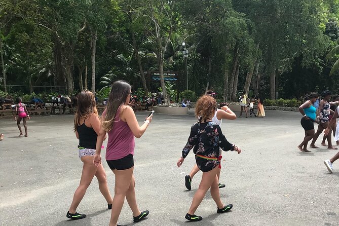 Dunns River Tour - Price and value: what $130 really buys in Montego Bay