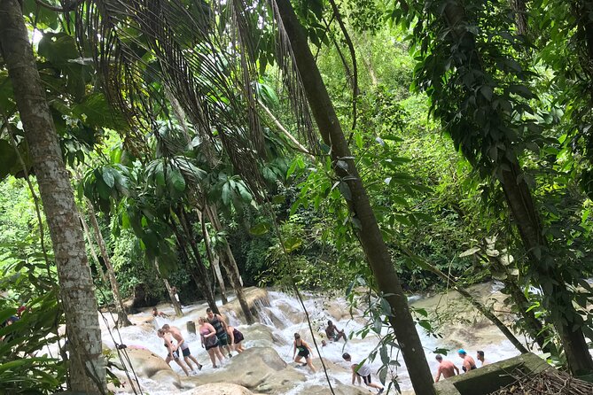 Dunns River Tour - Montego Bay comfort: what the private transport changes