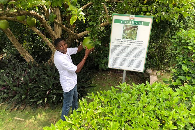 Explore Montego Bay Jamaica Private Tour to Green Gratto Cave - Guides and drivers: Leon, Nickoy, Hosan, and Ryan as the human difference