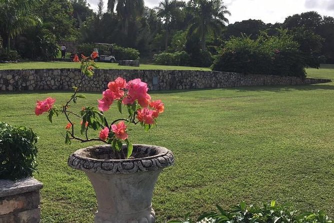 Explore Montego Bay Jamaica Rose Hall Great House Day/Night Tour - Admission ticket planning: your budget math for Rose Hall