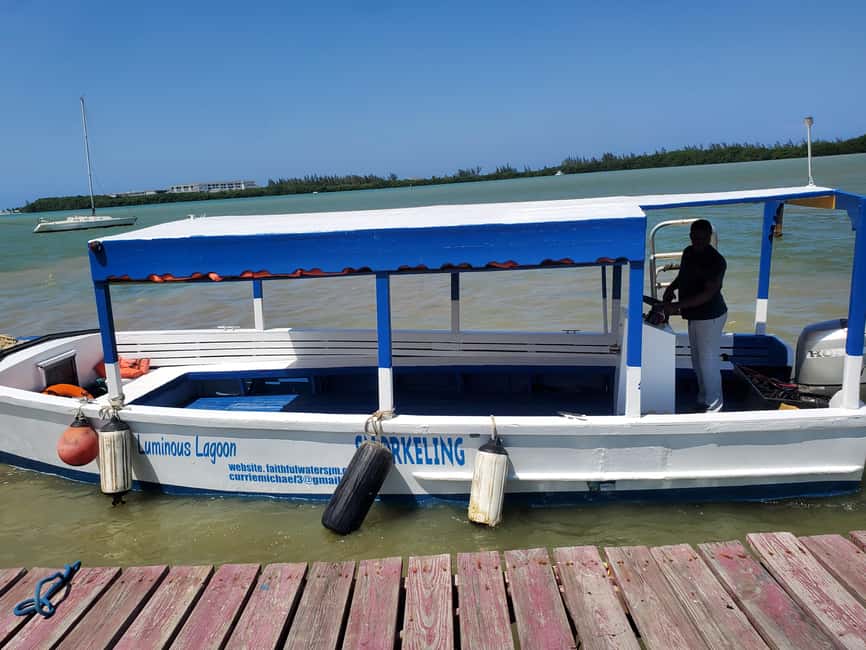 Falmouth: Luminous Lagoon Boat Tour - The boat ride: what you’ll see before you ever touch the water