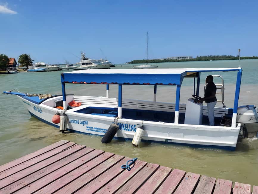 Falmouth: Luminous Lagoon Boat Tour - Rum punch and the guide’s science-and-folklore approach