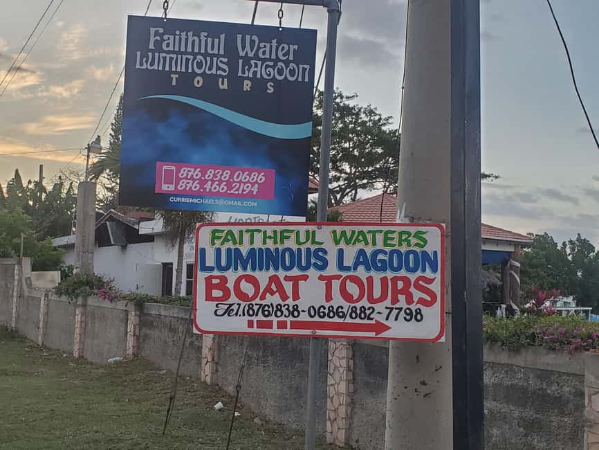 Falmouth: Luminous Lagoon Boat Tour - Swimming in the luminous lagoon: how to make it work best