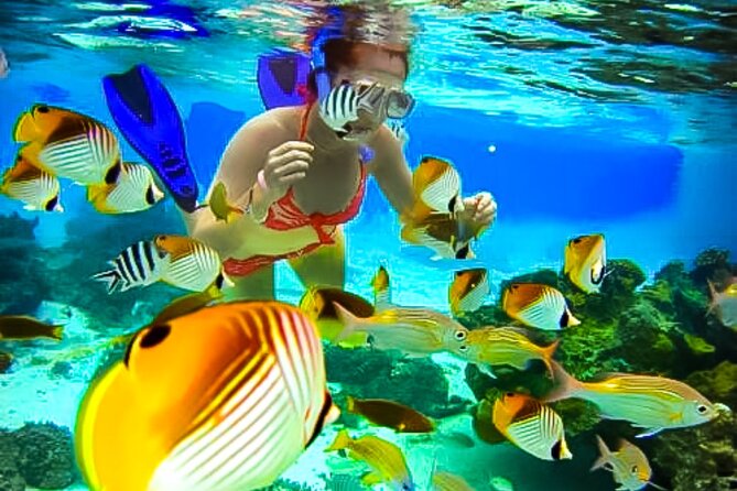 Family Fun-Snorkeling with Lunch Stop from Montego Bay - Montego Bay Snorkeling From Pickup to Reef Time