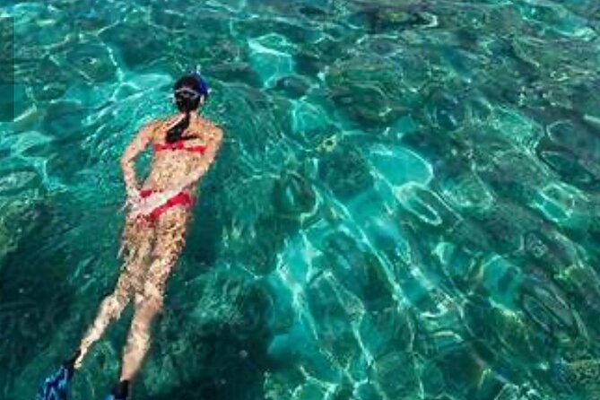 Family Fun-Snorkeling with Lunch Stop from Montego Bay - Gear, Lesson, and What Makes This First-Timer-Friendly