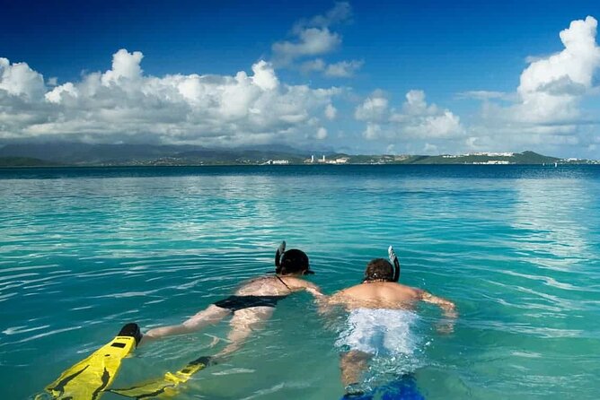 Family Fun-Snorkeling with Lunch Stop from Montego Bay - Who This Tour Fits Best (Families, Couples, and Nervous First-Timers)