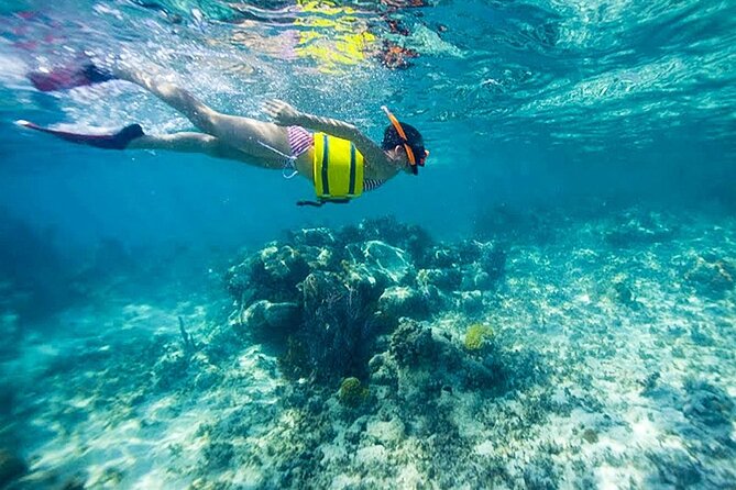 Family Fun-Snorkeling with Lunch Stop from Montego Bay - Price, Value, and What You’re Really Paying For