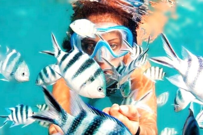 Family Fun-Snorkeling with Lunch Stop from Montego Bay - How the Timing Actually Works (and Why You’ll Like It)