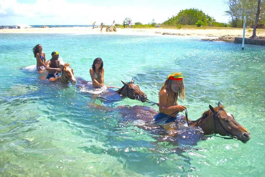 From Falmouth: Horseback Ride and Swim Beach Trip - From Falmouth Hotel Or Cruise Port To Sand N Saddle Beach