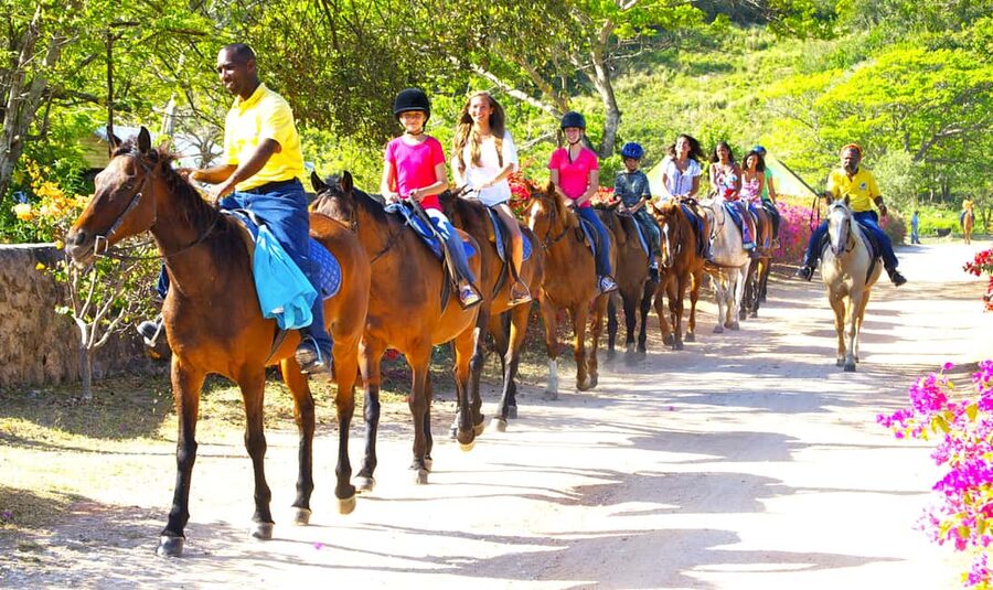 From Falmouth: Horseback Ride and Swim Beach Trip - Who Should Book This Horse Ride n Swim (And Who Should Skip It)