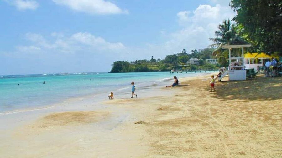 From Montego Bay: Dunn’s River Falls Experience - Why Dunn’s River Falls Still Feels Like a Jamaica Must-Do
