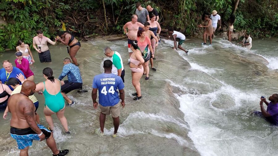 From Montego Bay: Dunn’s River Falls Experience - What Else You Can Do in the Park: Gardens, Craft Shopping, and Optional Ziplines