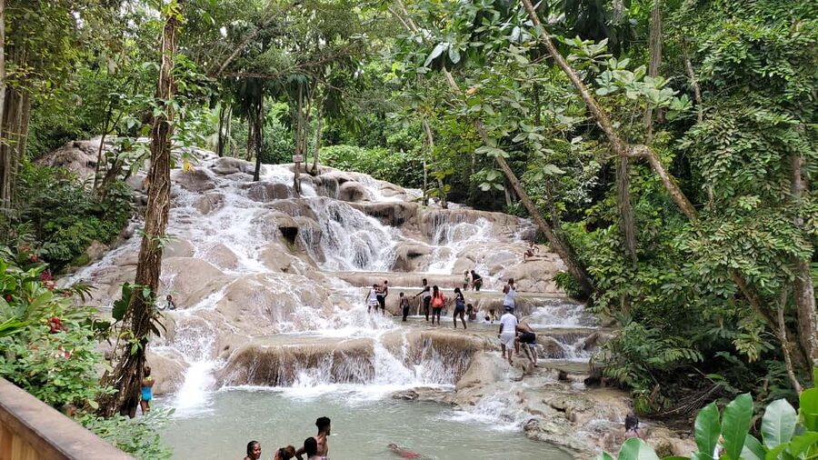 From Montego Bay: Dunn’s River Falls Experience - Who This Trip Fits Best (and Who Should Skip It)