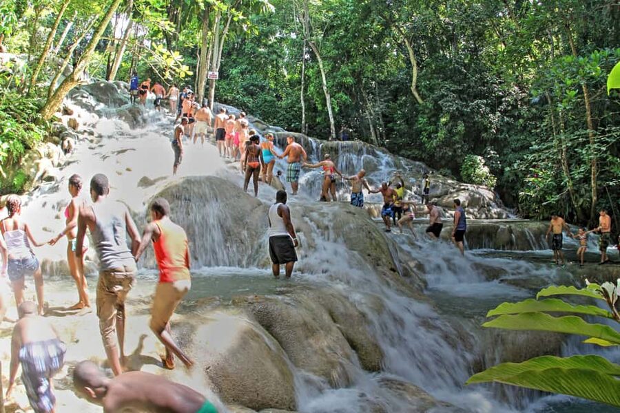 From Montego Bay: Dunn’s River Falls Experience - Montego Bay Pickup and the Ride to Ocho Rios: Small Group Comfort
