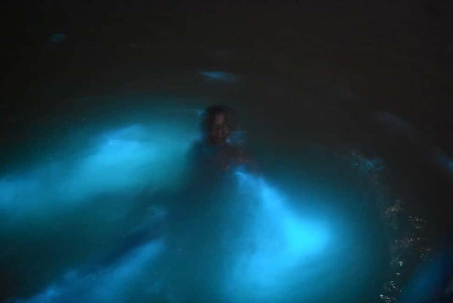 From Montego Bay: Luminous Lagoon Night Tour - From Montego Bay to Rock Wharf in Falmouth: Timing and Transport Reality Check