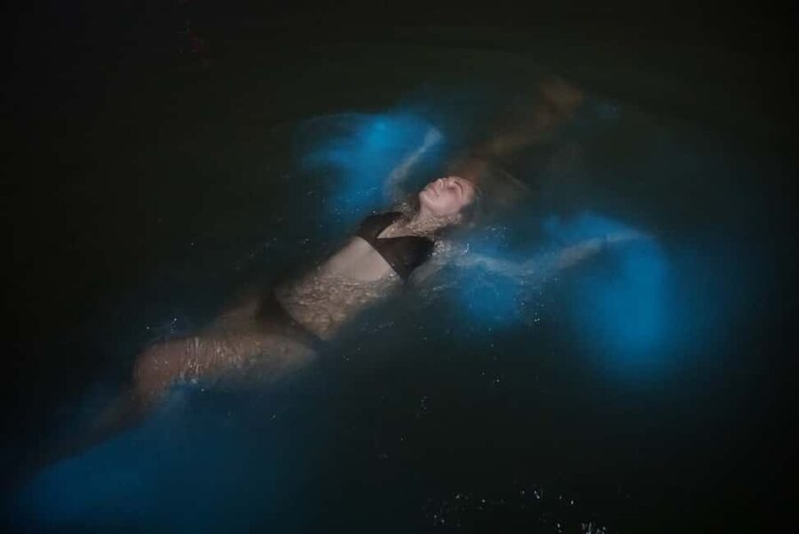 From Montego Bay: Luminous Lagoon Nighttime Boat Tour - The glow comes from fresh water meeting the sea