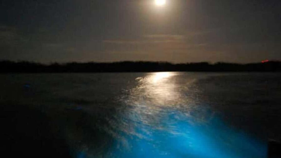 From Montego Bay: Luminous Lagoon Nighttime Boat Tour - Montego Bay pickup, van ride, and the Falmouth stop