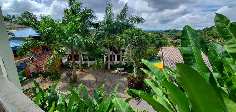 From Montego Bay: The Bob Marley Guided Tour of Nine Mile - Who this tour suits best (and who might want a different plan)