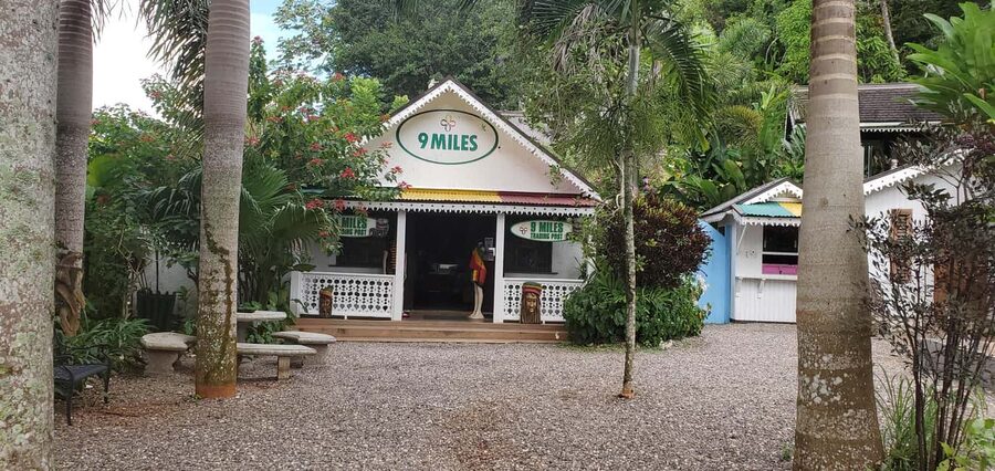 From Montego Bay: The Bob Marley Guided Tour of Nine Mile - Walking, stairs, and boots: the physical reality