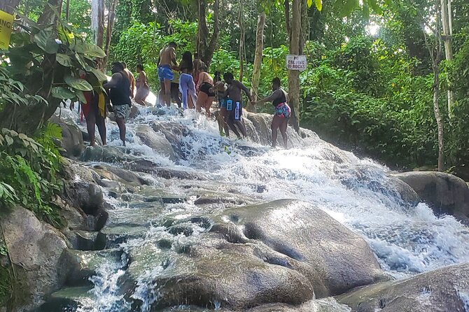 Full-Day Guided Tour to Dunns River Falls & shopping with lunch - Choose Your Route: Full Climb or Dry Walk