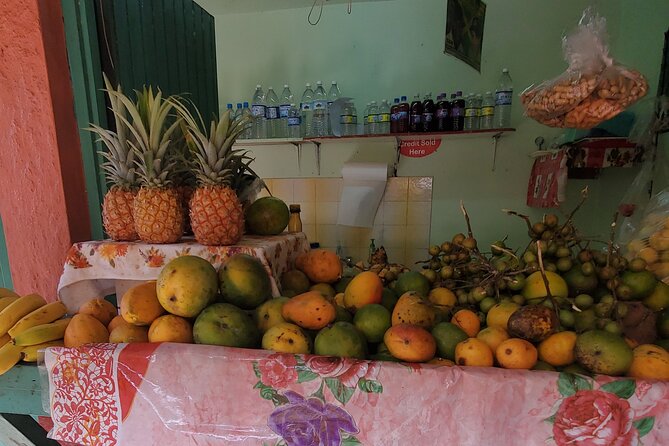 Full-Day Guided Tour to Dunns River Falls & shopping with lunch - Should You Book This Dunn’s River Falls and Shopping Day?