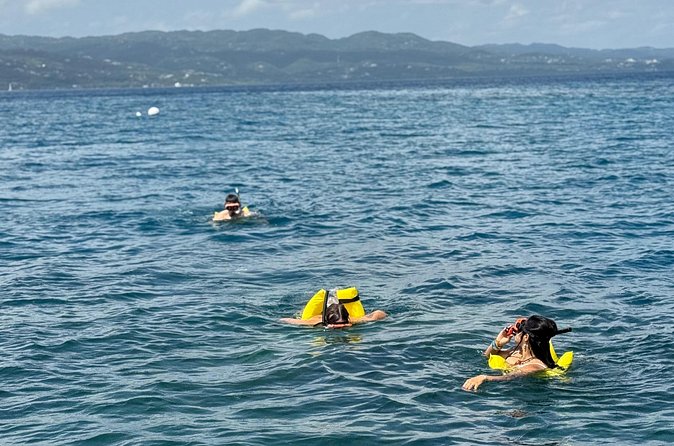 Glass bottom Boat Tour and Snorkeling Experience in Montego Bay - Getting There: Pickup, Private Transport, and the Smooth-Flow Value