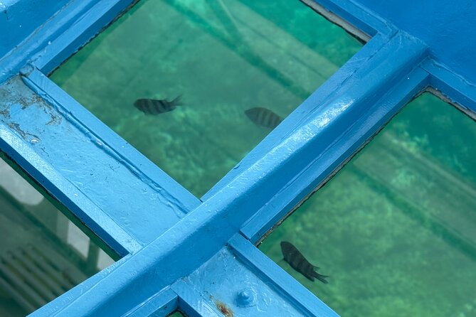 Glass bottom Boat Tour and Snorkeling Experience in Montego Bay - Who This Tour Suits Best (And Who Might Want to Choose Something Else)