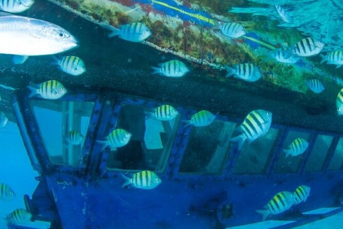 Glass Bottom Boat Water Activity in Montego Bay Jamaica - The Beach Strip Vibe: Passing Water Sports, Bar/Restaurant Atmosphere, and Reggae
