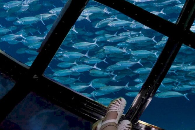 Glass Bottom Boat Water Activity in Montego Bay Jamaica - Who This Tour Suits Best (And Who Might Want a Different Option)