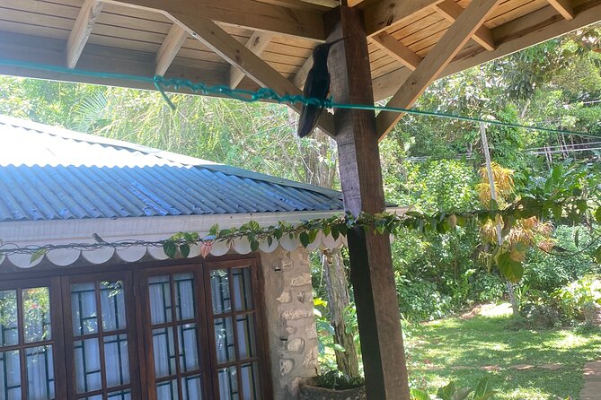 Great River Bamboo Rafting and Bird Sanctuary Combine Tour From Montego Bay - The Limestone Body Massage: Why It’s More Than a Marketing Add-On