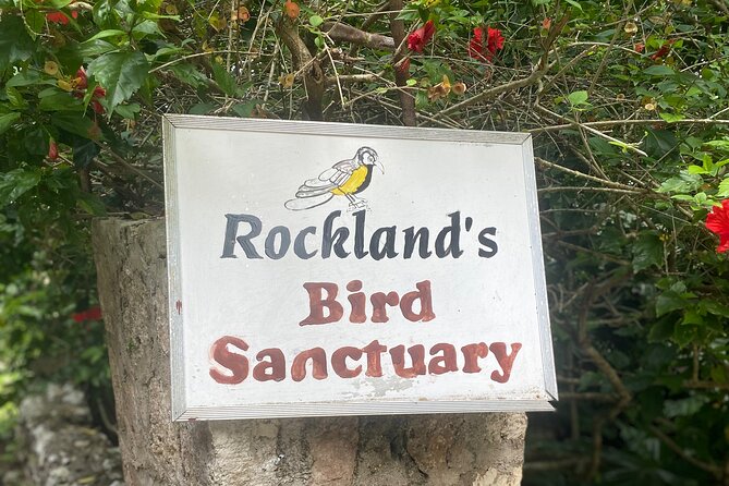 Great River Bamboo Rafting and Bird Sanctuary Combine Tour From Montego Bay - What to Expect During the Day (Without the Rush)