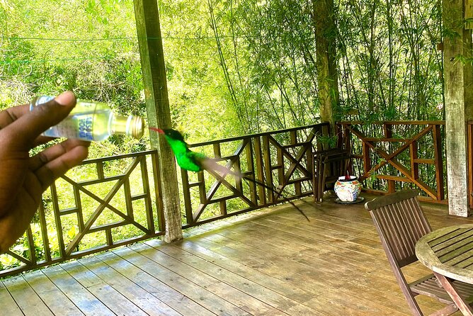 Great River Bamboo Rafting and Bird Sanctuary Combine Tour From Montego Bay - Who This Trip Fits Best (and who might not love it)