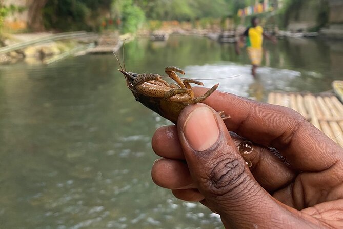 Great River Rafting - Limestone Foot Massage and ATV Rides From Montego Bay - Timing and planning: making the most of a tight 2-hour day