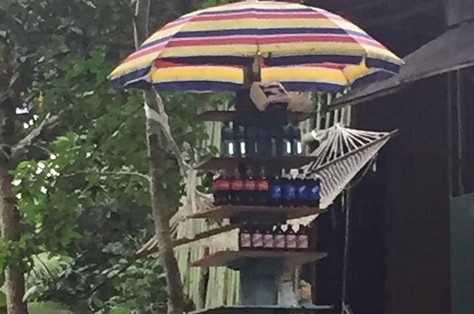Half-Day Private Martha Brae Rafting Tour from Montego Bay - Scotchies Drax Hall: jerk chicken and pork, on a schedule