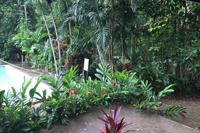Half-Day Private Martha Brae Rafting Tour from Montego Bay - Who this tour suits best (and who should reconsider)