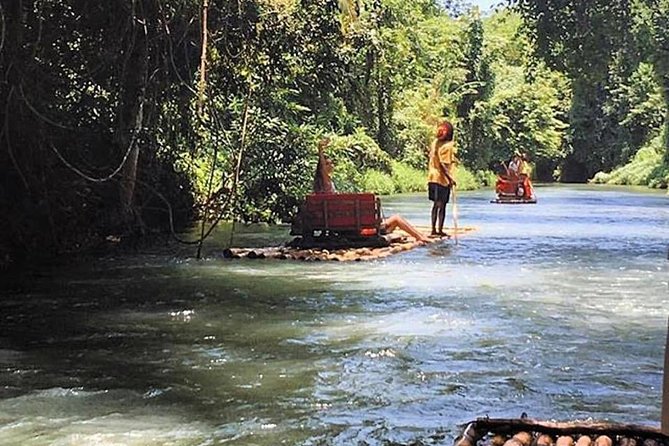 Half-Day Private Martha Brae Rafting Tour from Montego Bay - Trelawny Parish herb garden: Jamaica’s plants with real-world uses