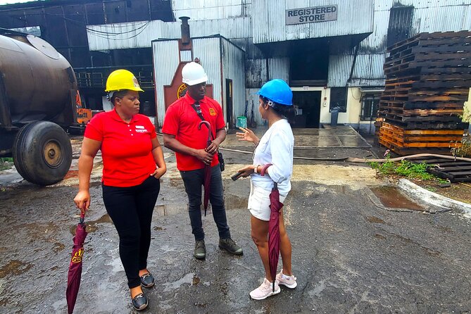 Hampden Estate Rum Tour and Lunch from Montego Bay - Distillery & Ageing House: where the tasting finally clicks
